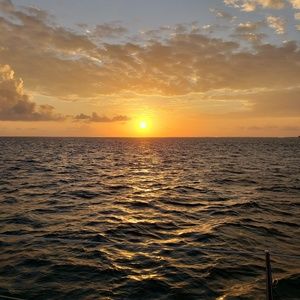 Meet your Posher, Shelly